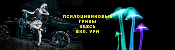 трава Заводоуковск