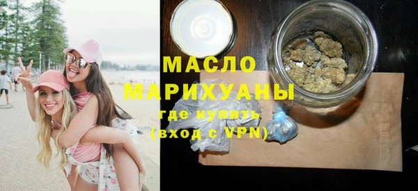 гидра Инта