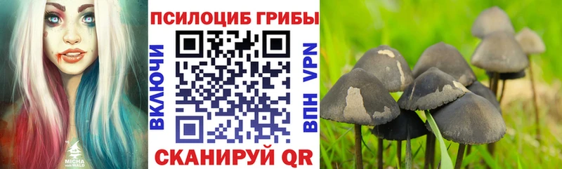 Галлюциногенные грибы прущие грибы  Купить  Княгинино 